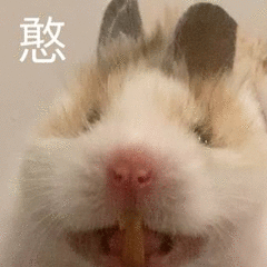 憨发表情gif搞笑图片