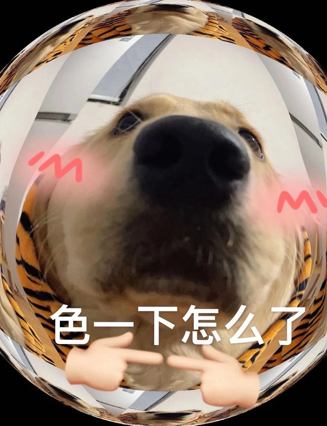 M 色一下怎么了发表情gif搞笑图片