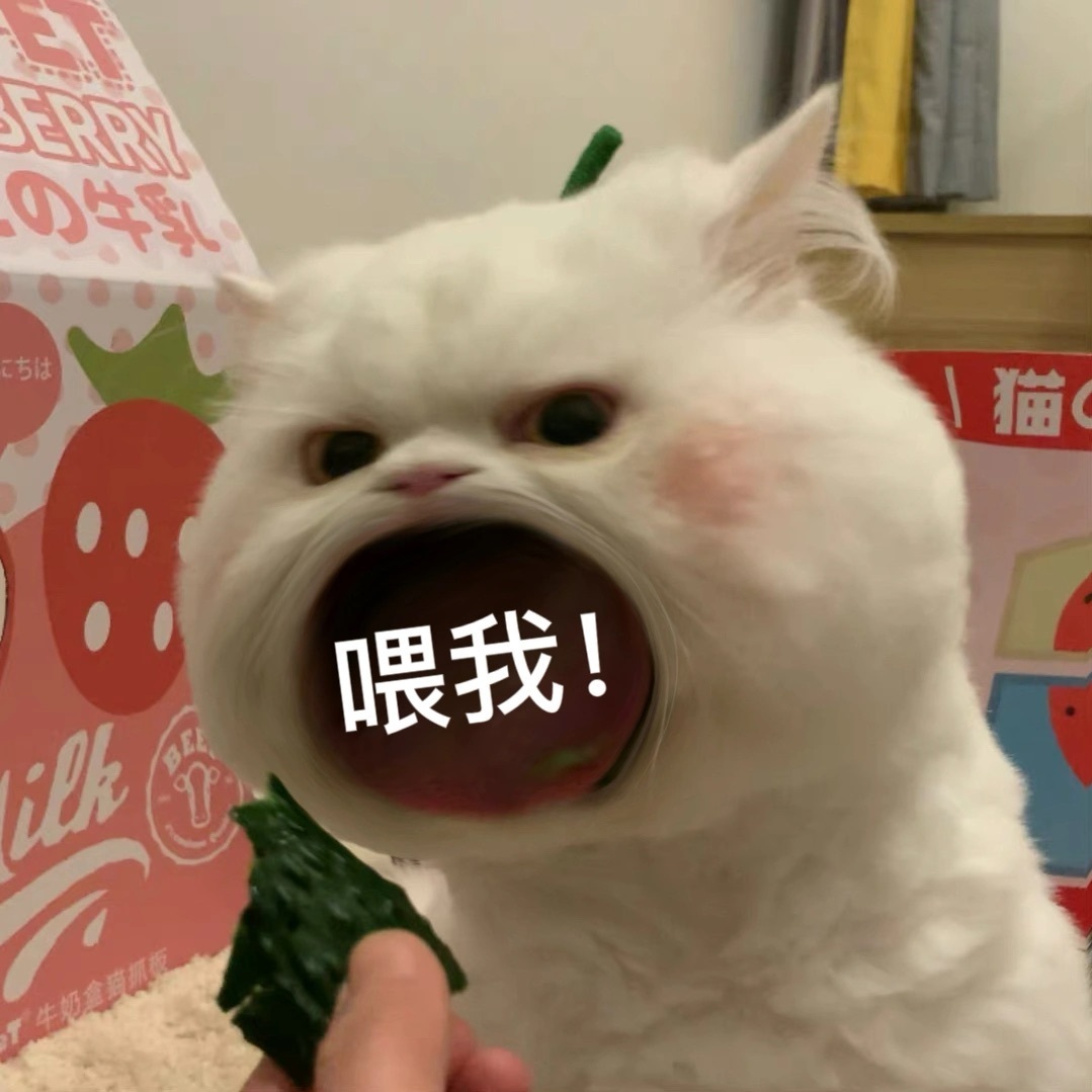 0牛乳猫喂我!牛奶盒抓板发表情gif搞笑图片