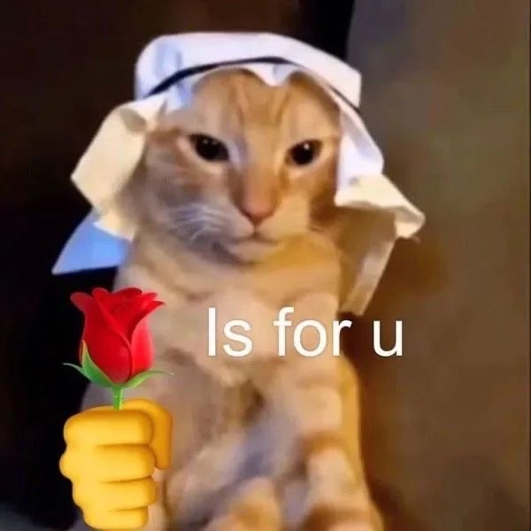 猫咪举花 is for your发表情gif搞笑图片