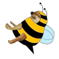 cheems柴犬动图表情包发表情gif搞笑图片