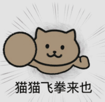 猫猫飞拳来也发表情gif搞笑图片