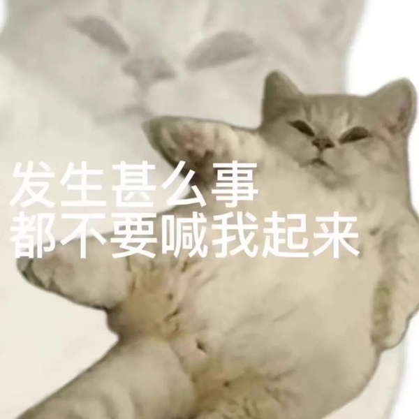 发生甚么事都不要喊我起来发表情gif搞笑图片