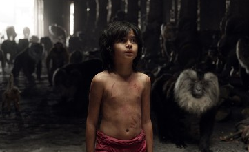 真人影片奇幻森林宣传海报影视剧照创意gif搞笑图片