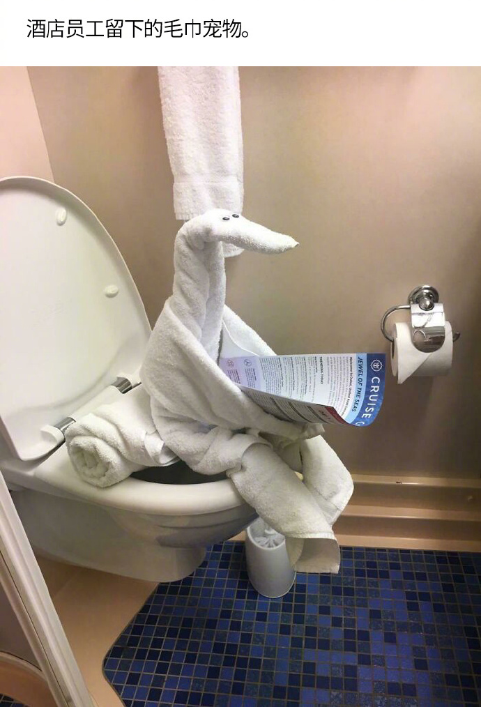 酒店员工留下的毛巾宠物创意gif搞笑图片