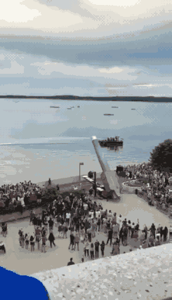 想知道这个是在哪创意gif搞笑图片