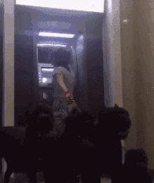 终于不用害怕贼惦记了，有了他们，SO安全啊创意gif搞笑图片