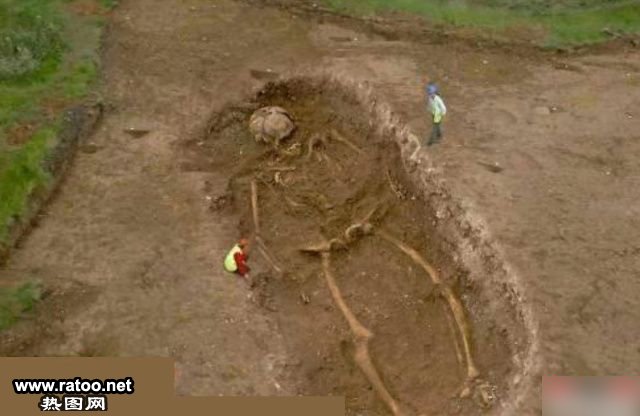 搞笑骷髅图片创意gif搞笑图片