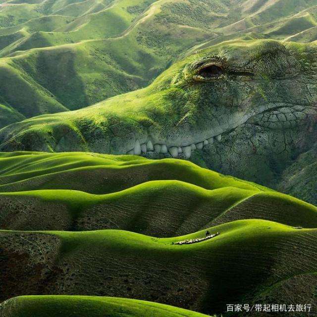 艺术创意图片_鳄鱼创意gif搞笑图片