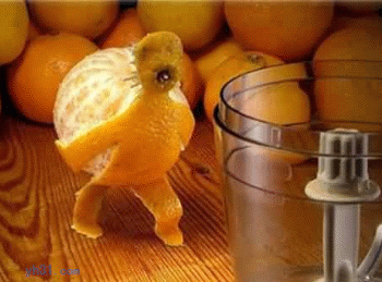 橘子创意图片创意gif搞笑图片