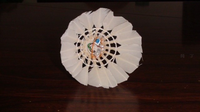 会发光的羽毛球创意gif搞笑图片