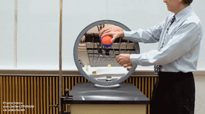 给出不一样的视觉冲击感创意gif搞笑图片