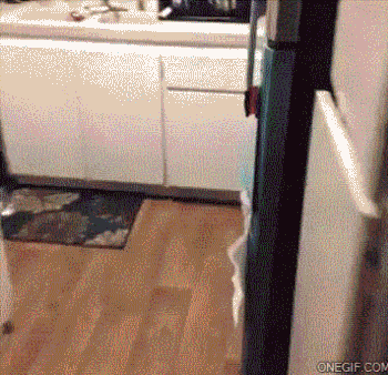 夏天你试过这样做吗创意gif搞笑图片