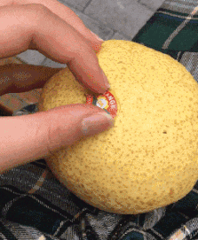 永远不要跟商家比心眼创意gif搞笑图片