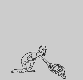 人类的进化史创意gif搞笑图片