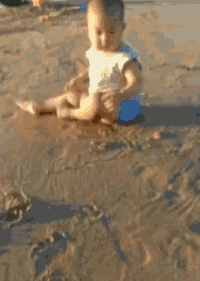 这才是真正的屁颠创意gif搞笑图片