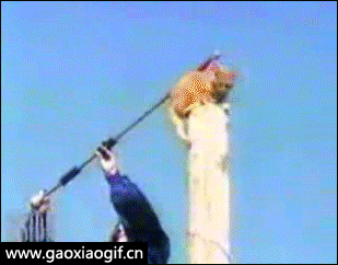 腾空飞跃完美落地创意gif搞笑图片