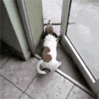 兄弟在玩啥我看看-搞笑图片创意gif搞笑图片