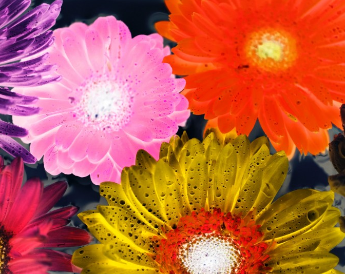 涂鸦创意图案设计图片创意gif搞笑图片