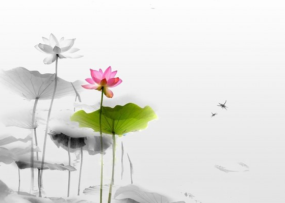 创意中国风水墨画背景高清素材图片创意gif搞笑图片