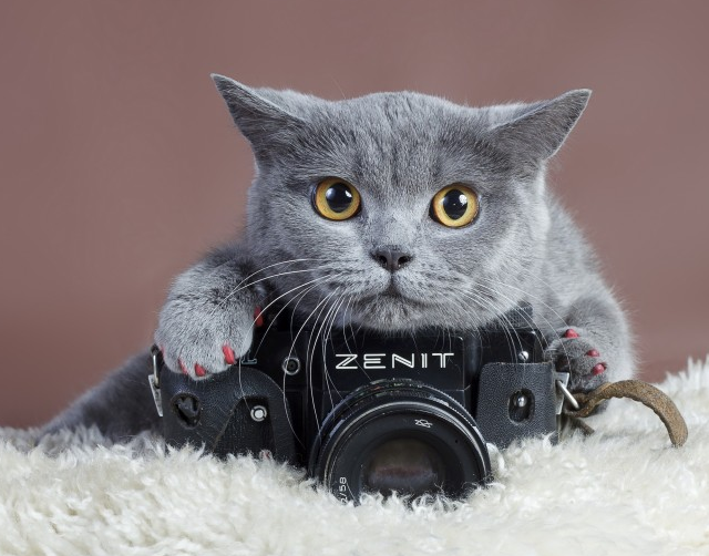 Zenit相机创意拍照设计高清图片创意gif搞笑图片