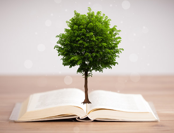长出大树的书创意设计素材高清图片创意gif搞笑图片