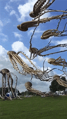 创意的八爪鱼风筝图创意gif搞笑图片