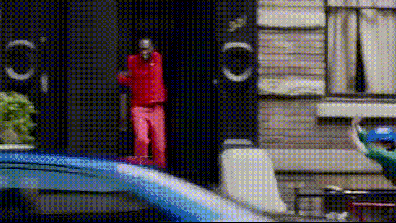 创意的海草舞gif图创意gif搞笑图片