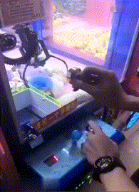 创意抓娃娃机的技巧图创意gif搞笑图片