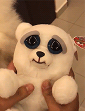 搞笑创意的狗狗玩具图创意gif搞笑图片