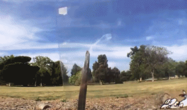 搞笑创意的拍照技巧图创意gif搞笑图片