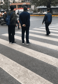 搞笑创意的斑马线图创意gif搞笑图片