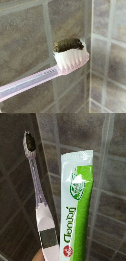 创意搞笑的牙膏图创意gif搞笑图片