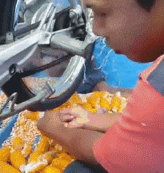 剥玉米的创意神奇图创意gif搞笑图片