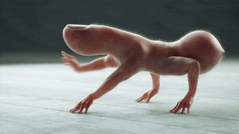 这是个什么东西创意gif搞笑图片