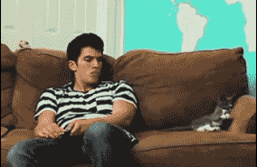 猫咪跟主人神同步的搞笑动态图创意gif搞笑图片