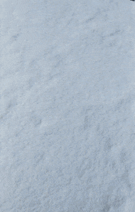 自创小兔子创意gif搞笑图片