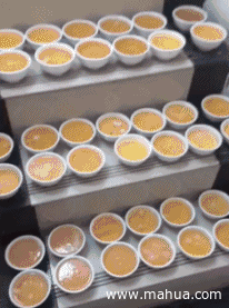 这样一来，我估计这婚是结不成了创意gif搞笑图片