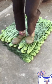 请问，以后见到酸菜你还敢吃吗创意gif搞笑图片