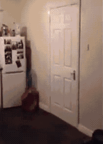 卧槽，这们牛皮了创意gif搞笑图片