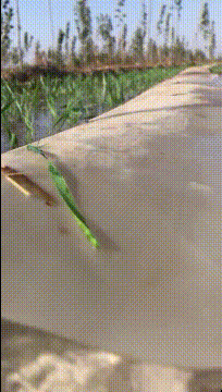 里面有好玩的，不信你看创意gif搞笑图片