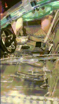 如果真的这种车出来了，你会买来开吗创意gif搞笑图片