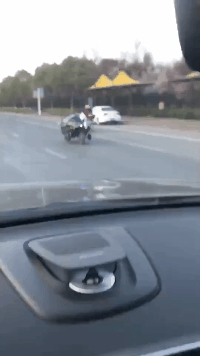 这是什么东西还跑这么快创意gif搞笑图片