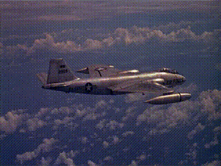 这是广岛历史上温度最高的一次创意gif搞笑图片