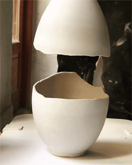 哇哦，这是什么东西创意gif搞笑图片