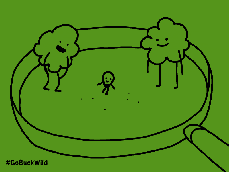 爆米花原来是这样子来的哦创意gif搞笑图片