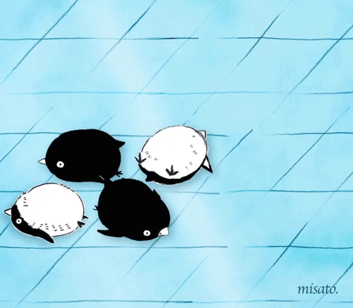 日本艺术家misato的系列作品，蜜汁脑洞创意gif搞笑图片