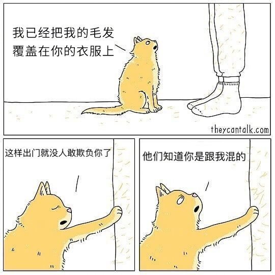 谢谢大哥，但是这毛有点多，不需要那么多的！创意gif搞笑图片