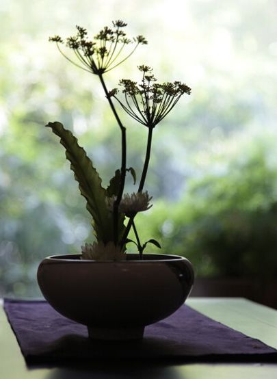 晨起看花意恬静，纵教瓶插也天然创意gif搞笑图片