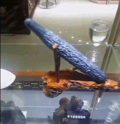 看了眼黄瓜，在看了下价格，是我不配创意gif搞笑图片